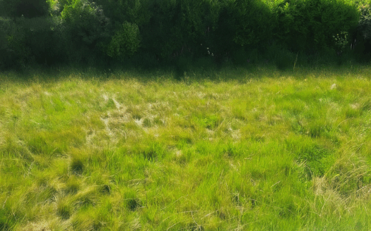 Terrain de 200m² à Guipavas – 53 900 €