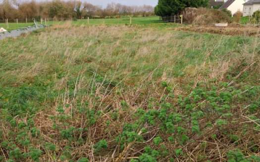 Terrain de 513m² à Plouénan – 55 200 €